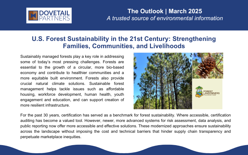 The Outlook | March 2025